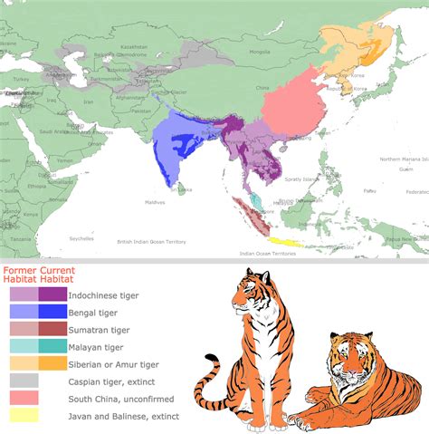 indochinese tiger range